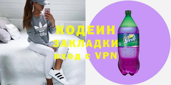 крисы Ельня