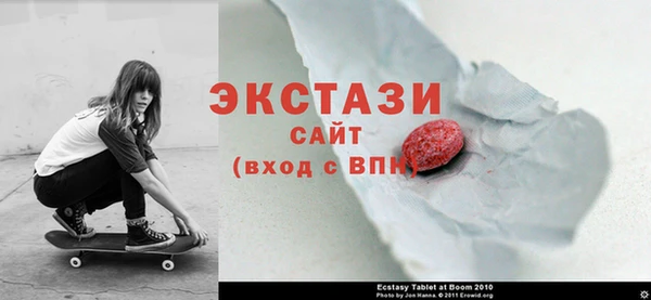 крисы Ельня