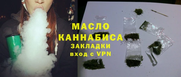 крисы Ельня