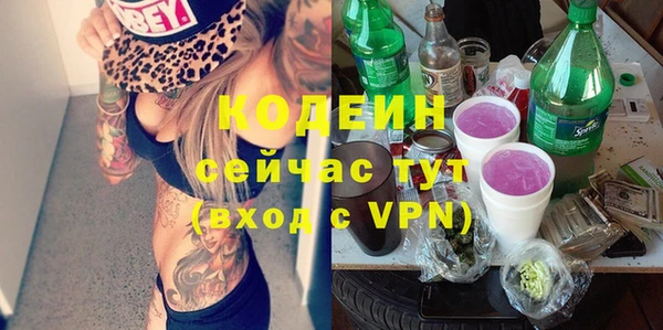 крисы Ельня