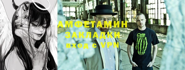 крисы Ельня