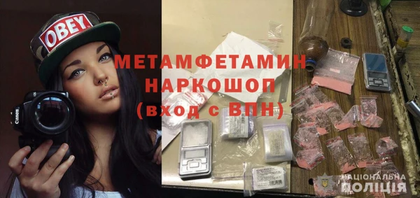 крисы Ельня