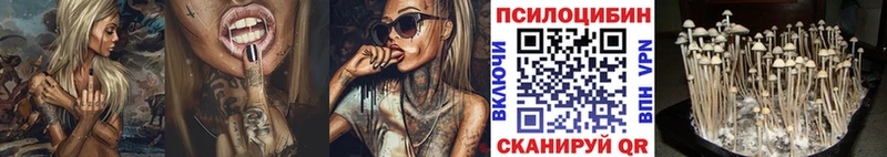 Галлюциногенные грибы GOLDEN TEACHER  Копейск 